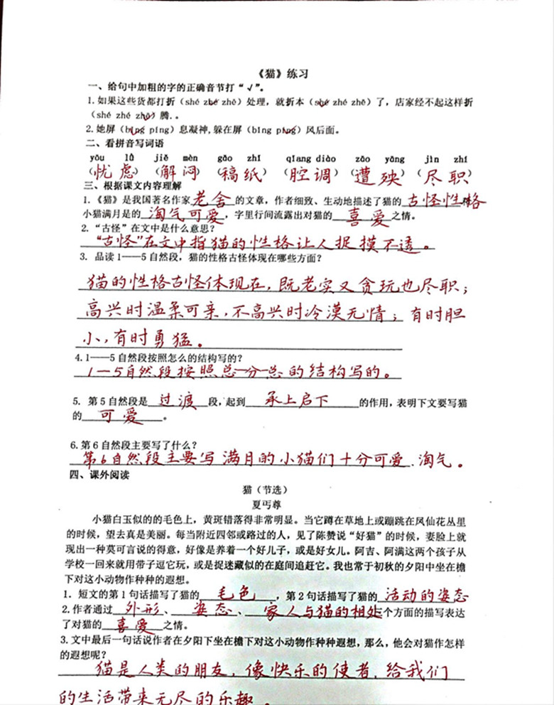 《猫》练习答案.jpg