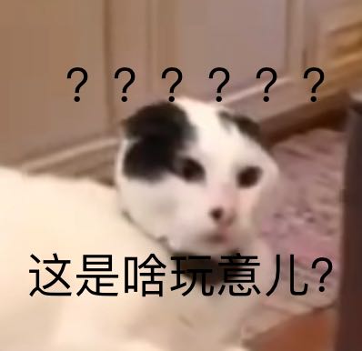 41F74705-02F0-4EAB-907B-7FB3CB39EB55.jpeg