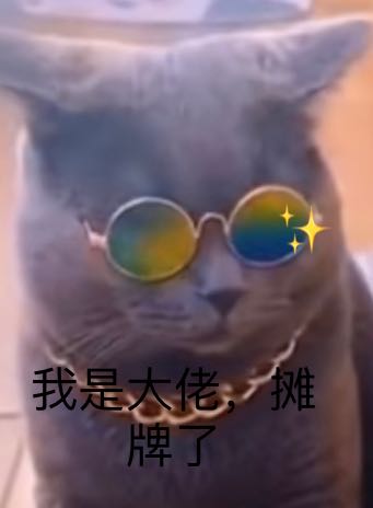 222F2D9E-CF81-475C-AB1F-FA1FC4FEDED3.jpeg
