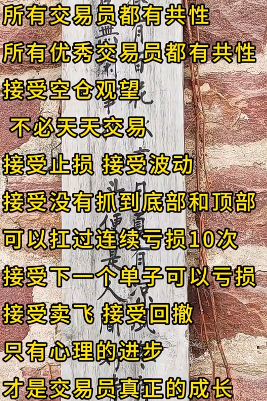 IMG_5276.PNG