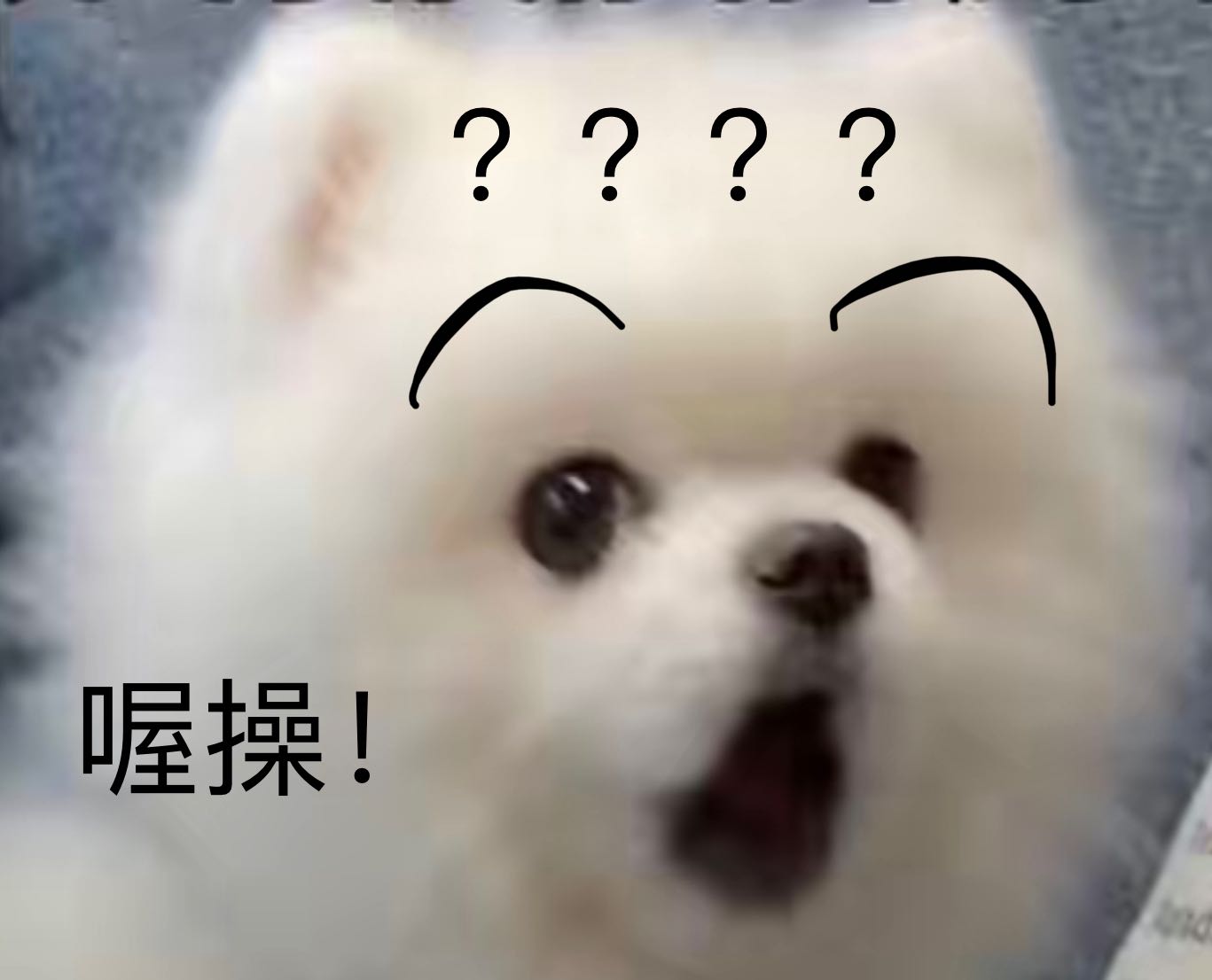8559B1EF-559E-42D5-877F-8865C23E1EE3.jpeg