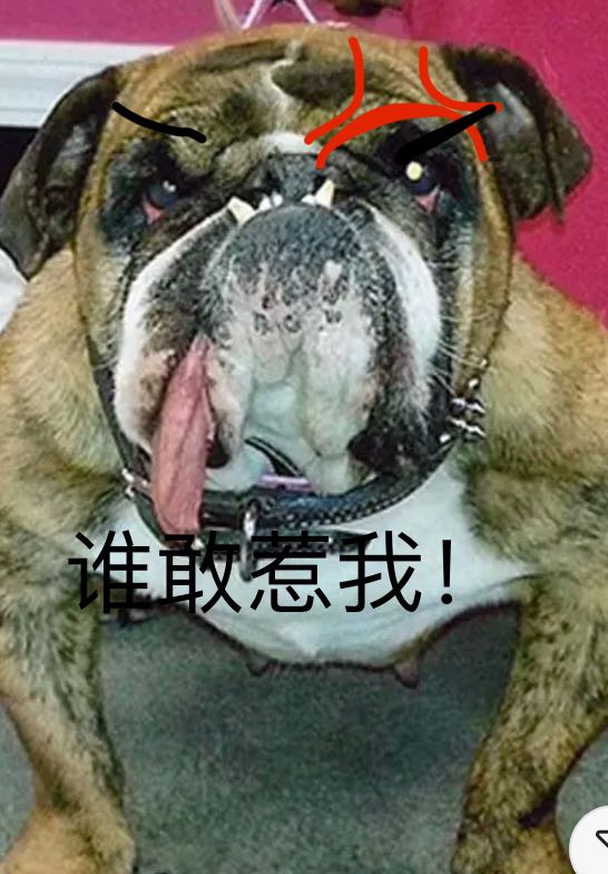 13E99E29-6BA3-4802-BEC0-9BFC35B88EE5.jpeg