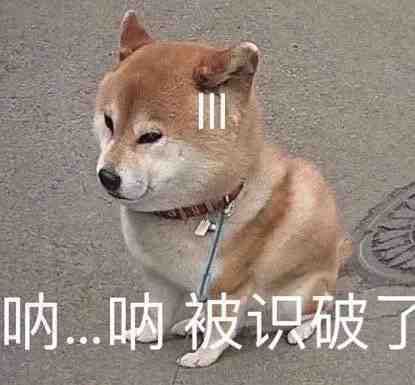 2BCF68A2-CFF2-4630-940A-E6D8BFB70401.jpeg