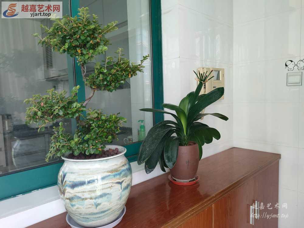 IMG20230502111711.jpg