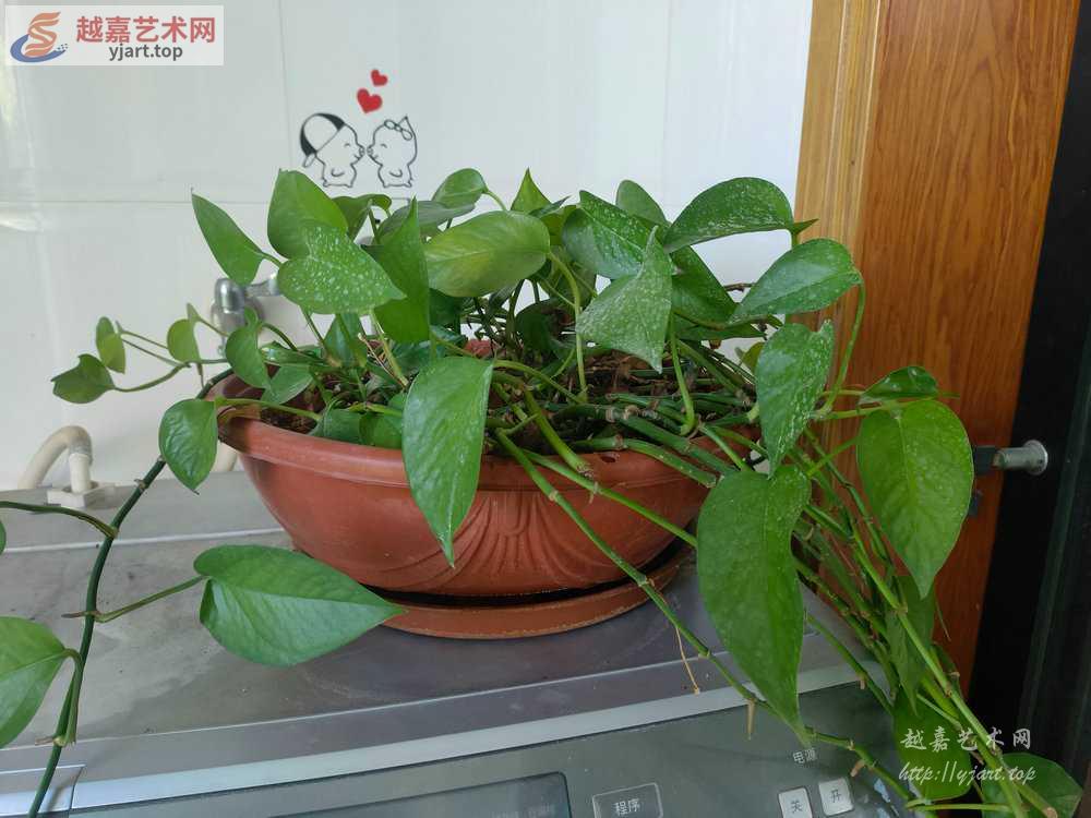 IMG20230502112033.jpg