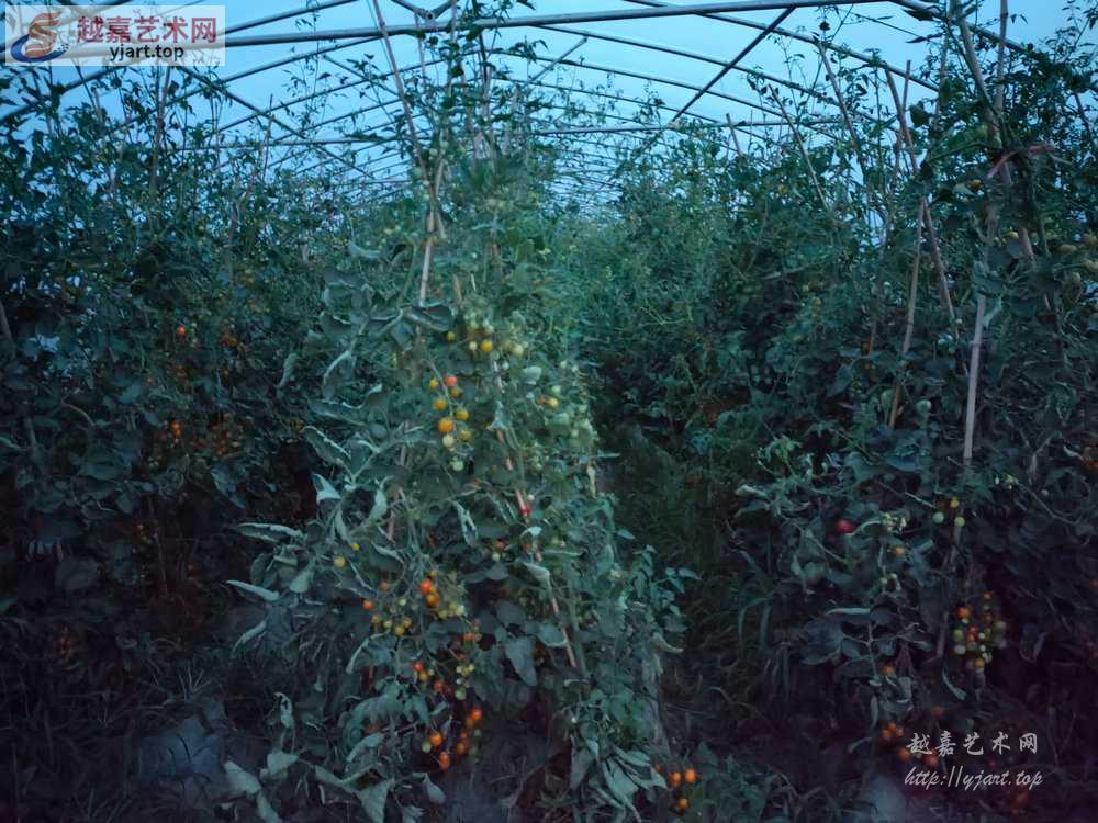 IMG20230608192521.jpg