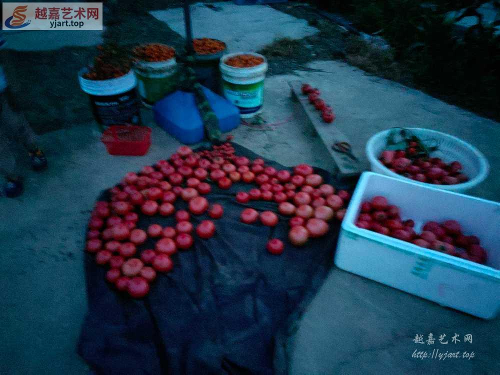 IMG20230608192709.jpg