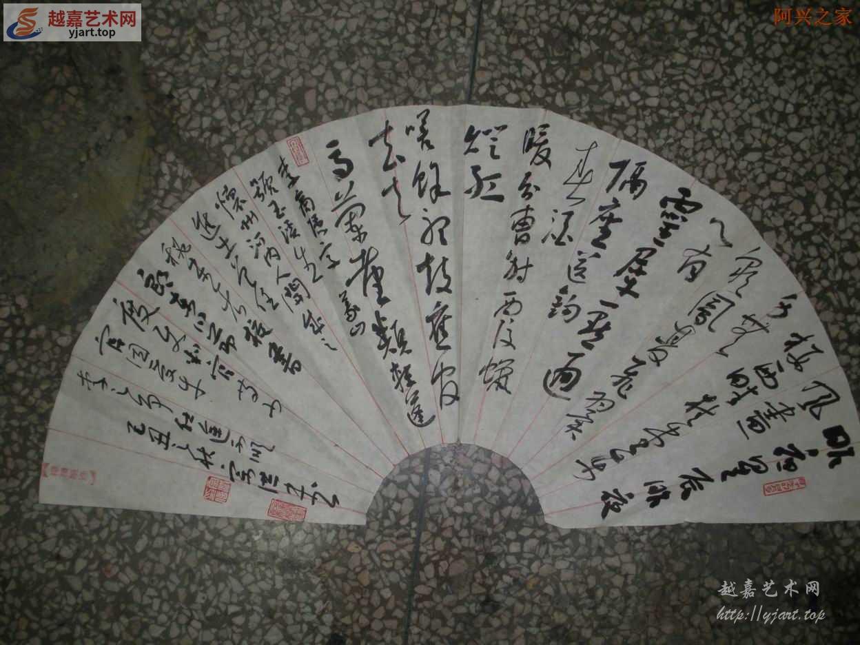 14.jpg